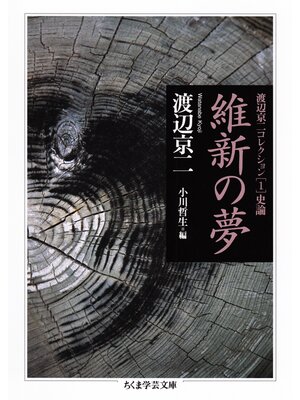 cover image of 維新の夢　──渡辺京二コレクション１　史論